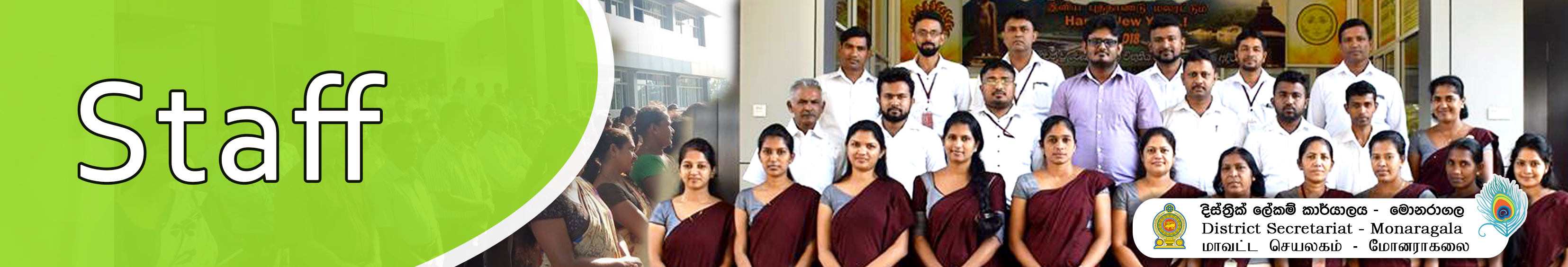 Staff Banner